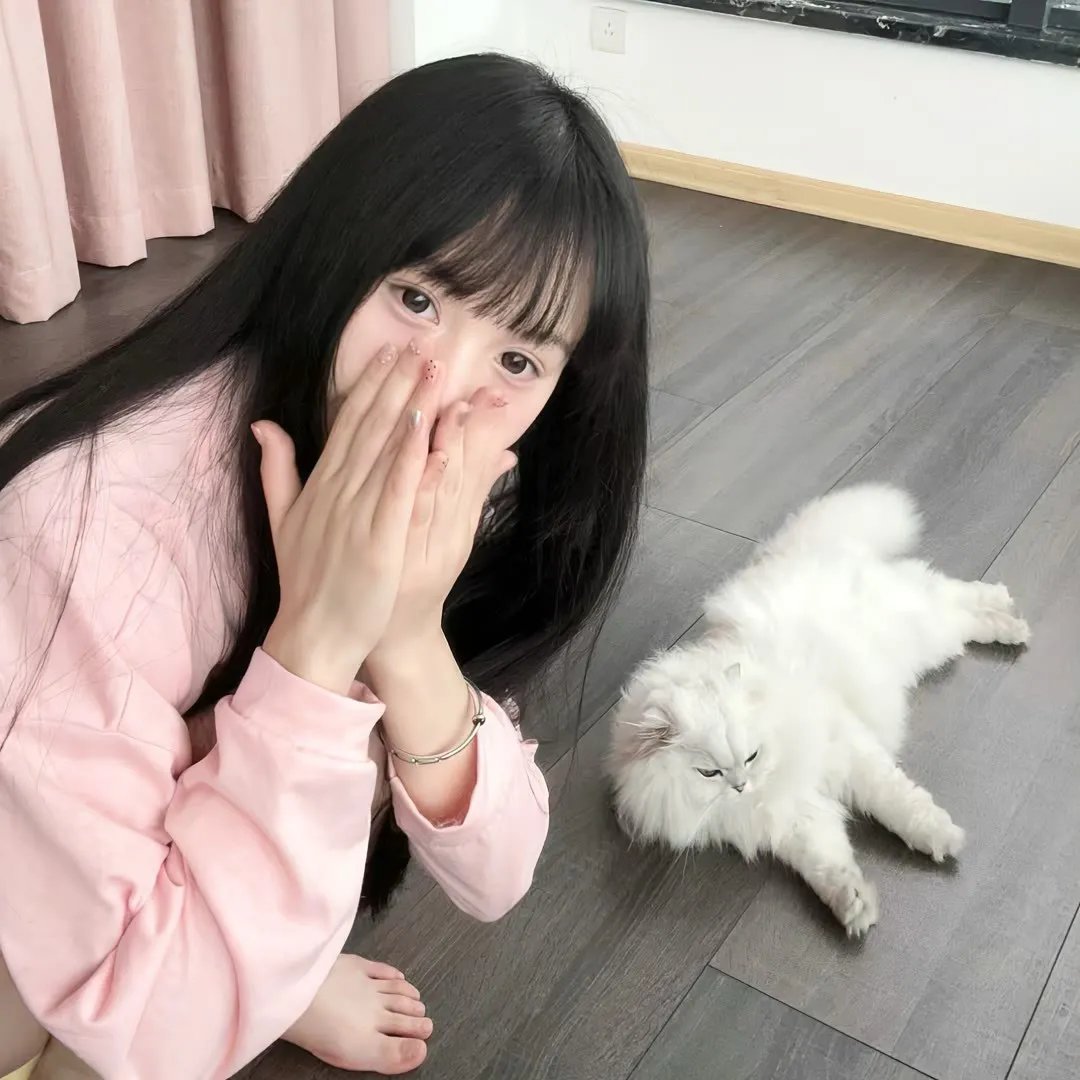 彩排